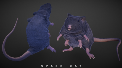 space_rat_02.png