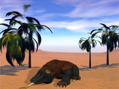 komodofinal.jpg