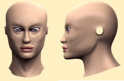 head10.jpg