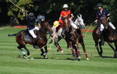 Polo.jpg (182.29 KiB) Viewed 4483 times Polo.jpg