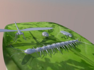 Insects_temp.jpg (276.54 KiB) Viewed 3771 times Insects_temp.jpg