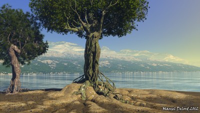 Arbre_humain.jpg (546.14 KiB) Viewed 5482 times Arbre_humain.jpg