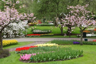 PDomainPics_GardenLG.jpg (73.96 KiB) Viewed 5030 times PDomainPics_GardenLG.jpg