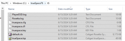 Delete trueSpace files.png