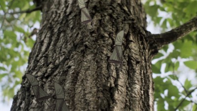 framegrab_guysontree.jpg (154.79 KiB) Viewed 4749 times character camera-matched to backplate