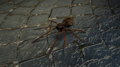 Hunter spider.png (1.04 MiB) Viewed 5541 times Hunter spider.png