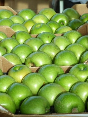 green apples.jpg (55.5 KiB) Viewed 4648 times green apples.jpg