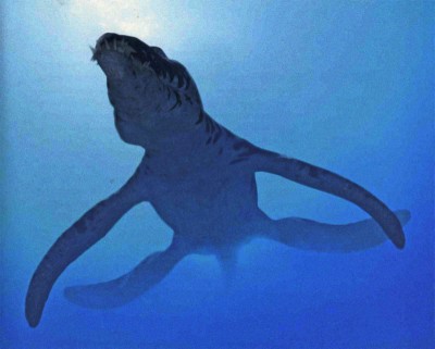 liopleurodon.jpg (501.5 KiB) Viewed 2931 times liopleurodon.jpg