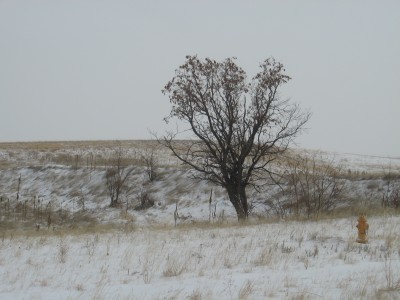 New Years Eve 2010-2011 Brr 020.JPG