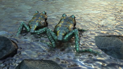 grenouilles.jpg