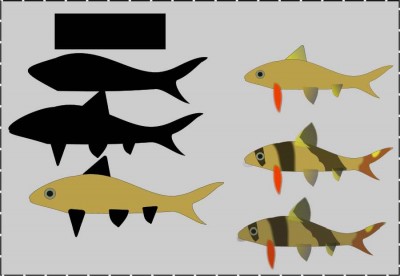 clown loach.jpg (31.05 KiB) Viewed 3761 times clown loach.jpg