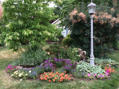 FrontGarden1.jpg (385.6 KiB) Viewed 6360 times FrontGarden1.jpg