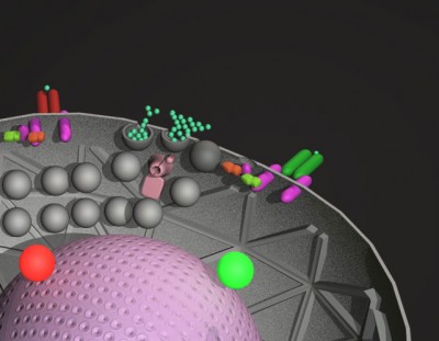 IR-target-final.crop-bright.jpg (46.44 KiB) Viewed 1673 times IR-target-final.crop-bright.jpg