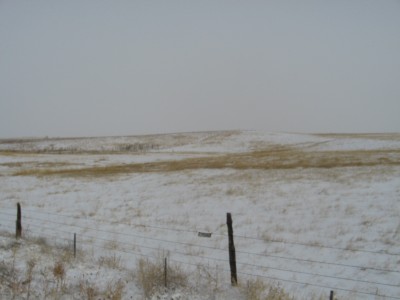 New Years Eve 2010-2011 Brr 017.JPG