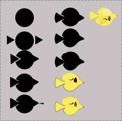 yellow fish.jpg (15.11 KiB) Viewed 3761 times yellow fish.jpg