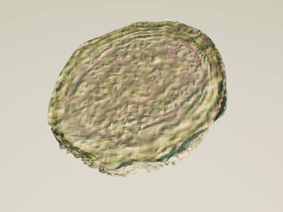 cellrender2.jpg