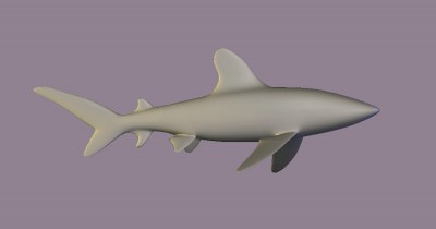 SharkMesh1.jpg (46.76 KiB) Viewed 3950 times SharkMesh1.jpg