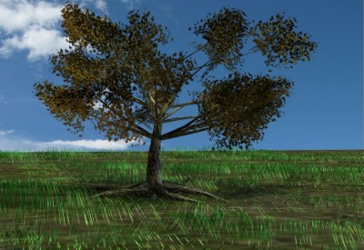 Tree with clouds.jpg