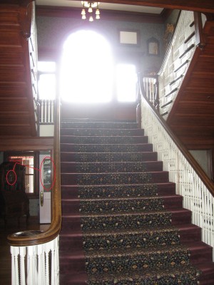 IMG_0345_annotated.jpg (655.88 KiB) Viewed 2773 times IMG_0345_annotated.jpg