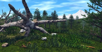 RootsAndRocks.jpg