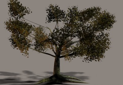 Tree.jpg