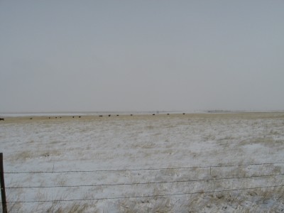 New Years Eve 2010-2011 Brr 011.JPG