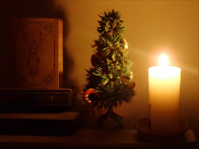 LowLightPhoto_1.jpg
