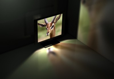 ambient_tv1.jpg (155.86 KiB) Viewed 3506 times ambient_tv1.jpg