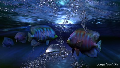 poissons.jpg