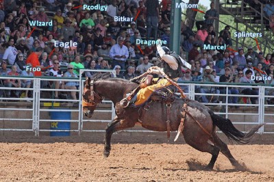 rodeo.jpg (208.55 KiB) Viewed 4356 times rodeo.jpg