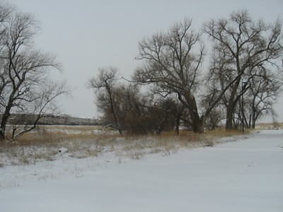 New Years Eve 2010-2011 Brr 002.JPG