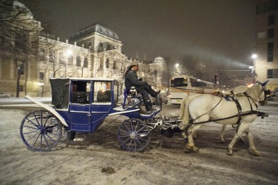 DSC_4896web.jpg