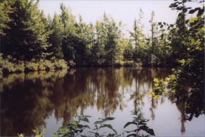 Pond_1024.jpg