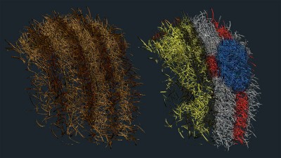 HairTextureTest.jpg (174.63 KiB) Viewed 6856 times HairTextureTest.jpg