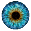 trueBlueAnim2.gif