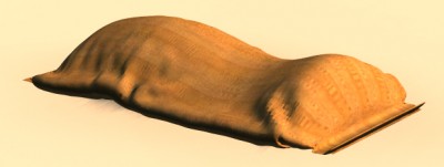 With Cloth Simulation