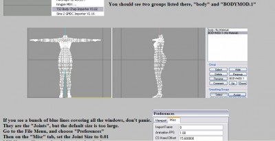 This is a screenshot from a MilkShape3D tutorial site, and The Sims 2 mesh looks dense there.