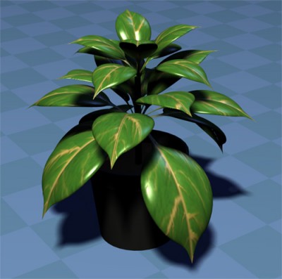 RubberPlant.jpg (83.23 KiB) Viewed 4868 times RubberPlant.jpg