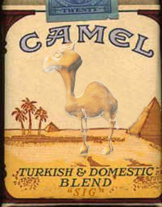 CamelPackSteinie.png