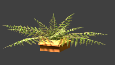 Fern.png