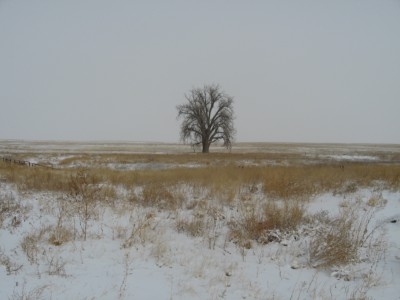 New Years Eve 2010-2011 Brr 007.JPG