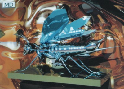 Insect.jpg