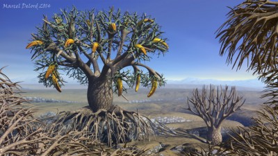 fruits.jpg