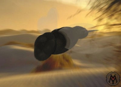 Little Insect.jpg