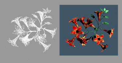 FlowerExample.jpg (36.48 KiB) Viewed 5491 times FlowerExample.jpg