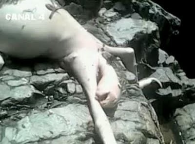 DeadAlien2.jpg