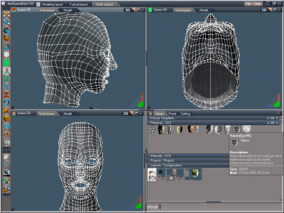 Views of head_wired.png