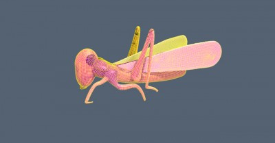 locus_render_wip_wire.jpg