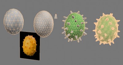 HornedFruitKiwano_wire.jpg