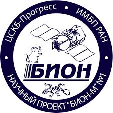 gerbils in space.jpg